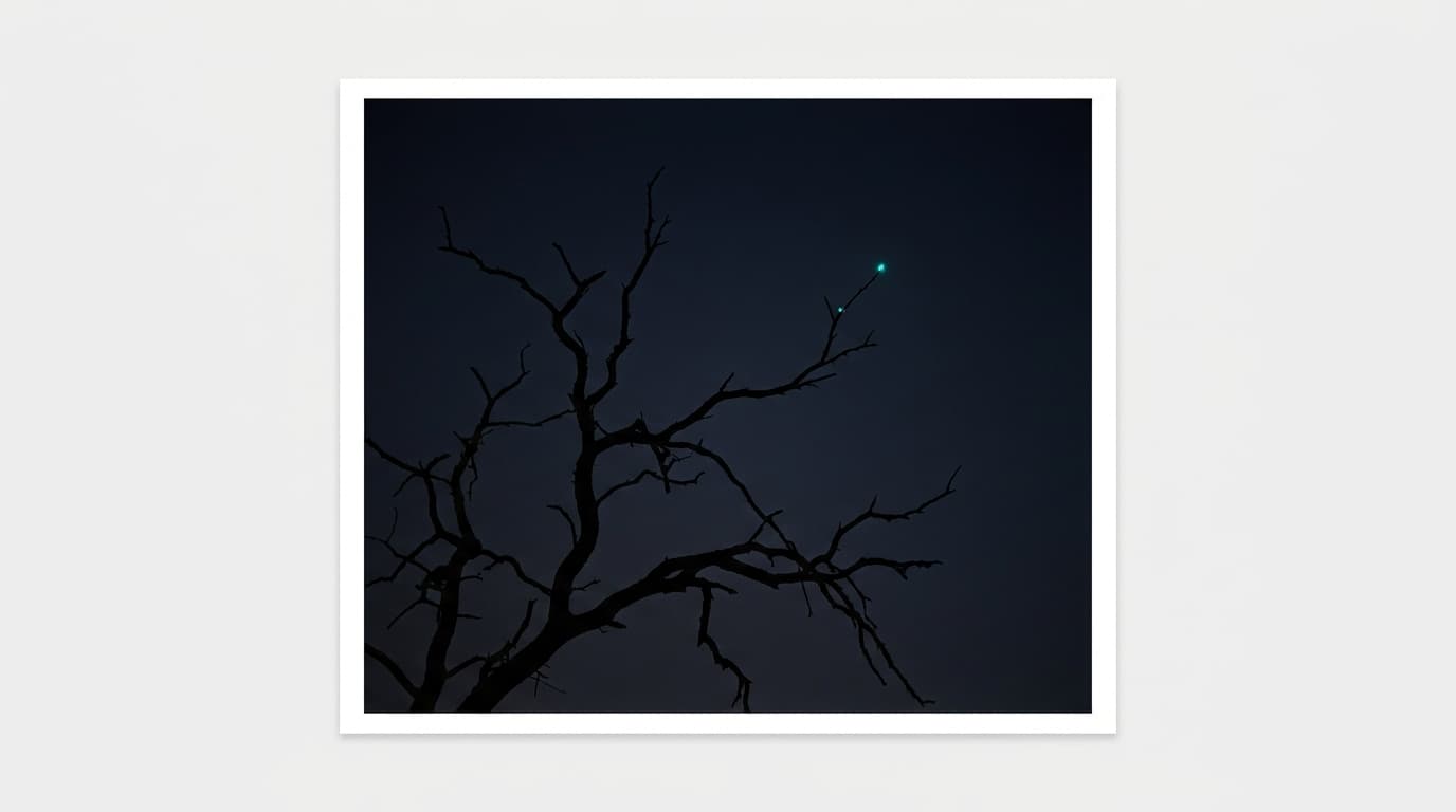 Bare leafless tree branches against deep navy sky, a single bio-cyan light at one branch tip.